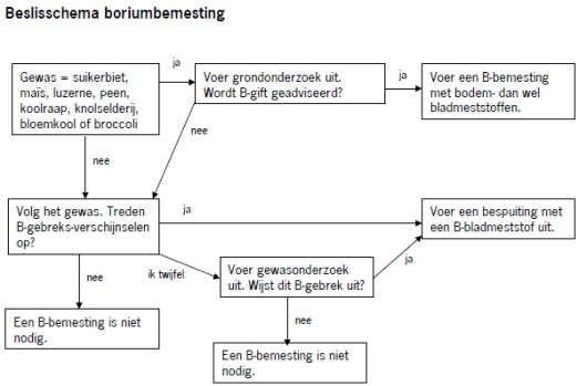 beslisschema boriumbemesting P95.jpg