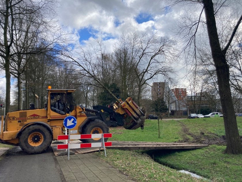 Transfer of oak from Axis to the Leeuwenborch