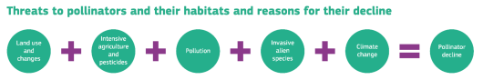 De uitdagingen waar bestuivers voor staan. Bron: ‘<L CODE="C26">Citizens for pollination conservation: a practical guidance</L>’.