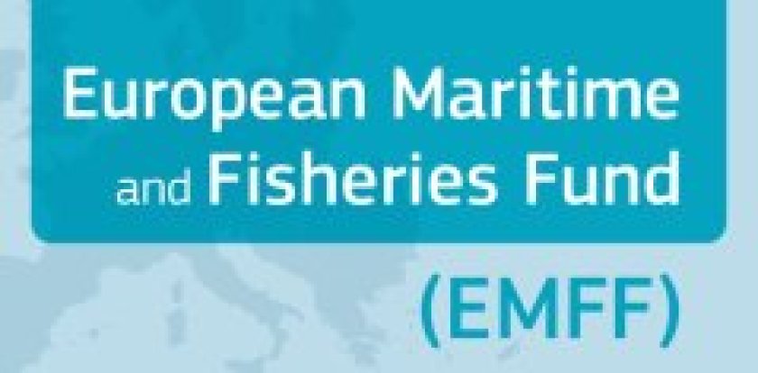 European Maritime and Fisheries Fund.jpg