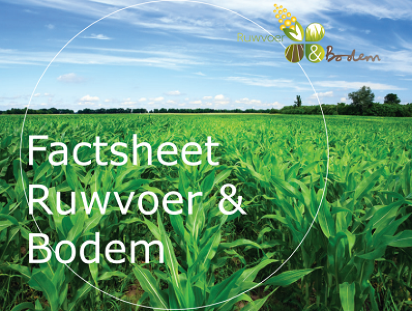 Factsheets ruwvoer en bodem