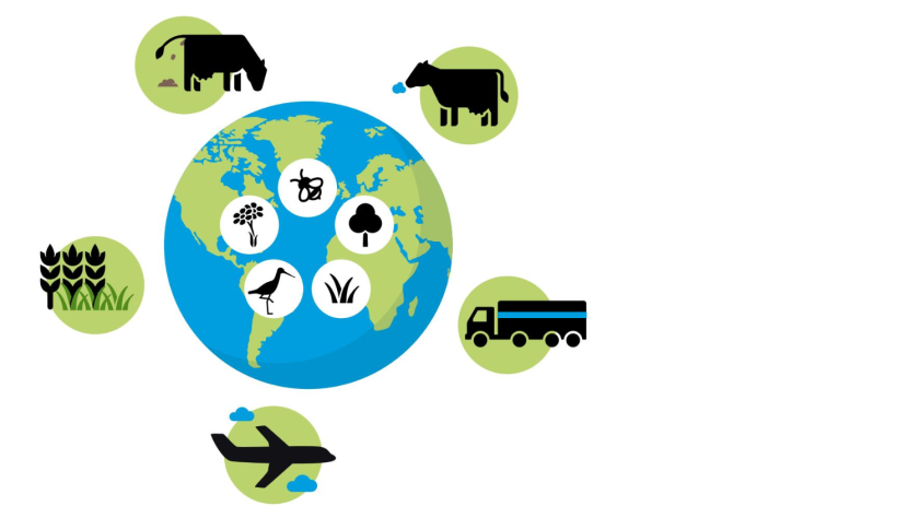 Het Circular Food System-model brengt in kaart hoe een gezond dieet eruit kan zien dat de aarde zo min mogelijk belast; onder meer door zo min mogelijk land te gebruiken of broeikasgassen en milieuvervuilende stoffen uit te stoten.