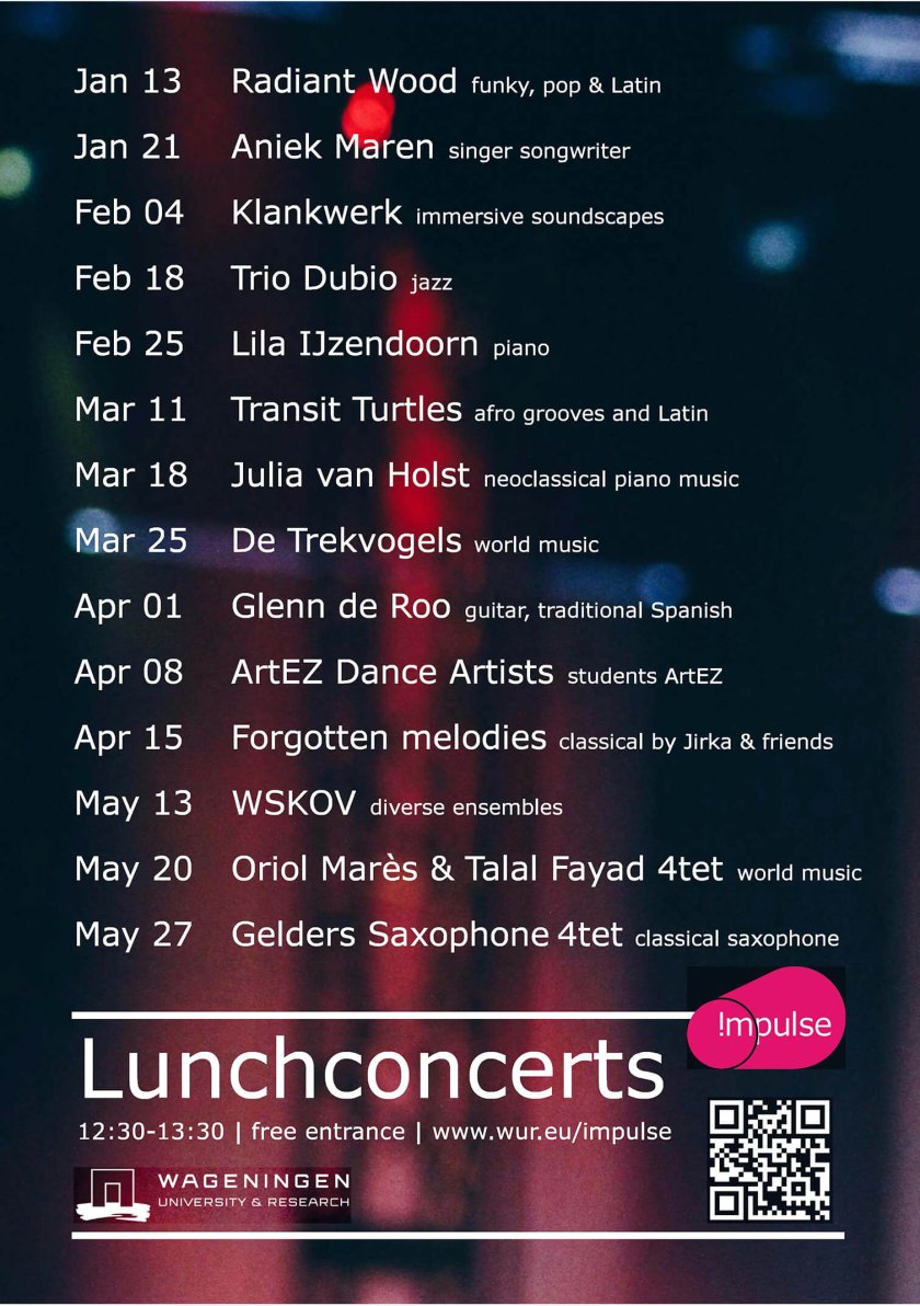 Overzicht lunchconcerten jan-ma