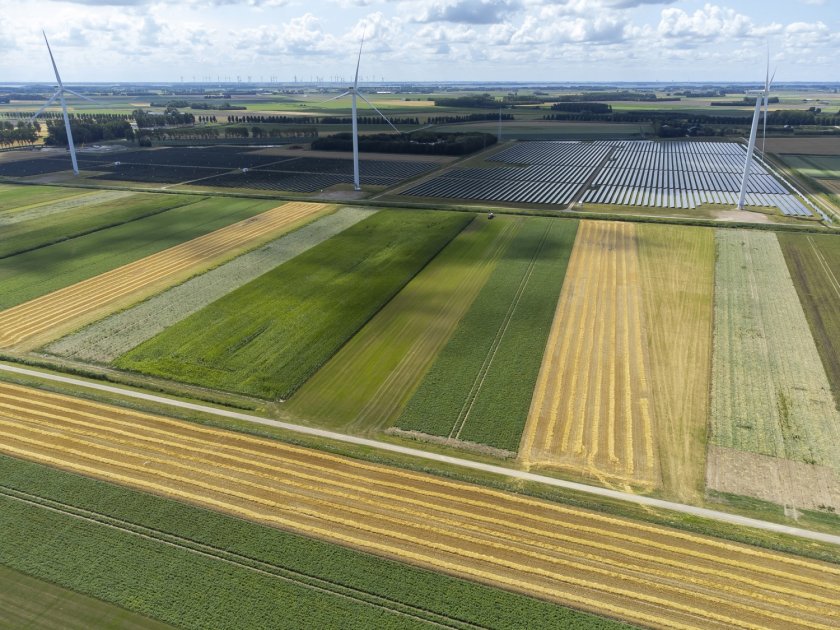 In mixed cropping systems, many different kinds of crops and flower banks grow together. Photo: HAKO fotografie.