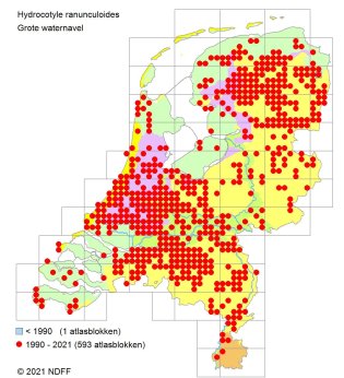 verspreidingskaart Grote waternavel