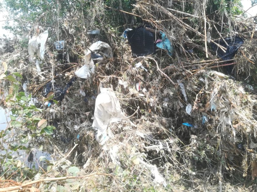 Macroplastics entangled on a riverbank (photo: Rahel Hauk)